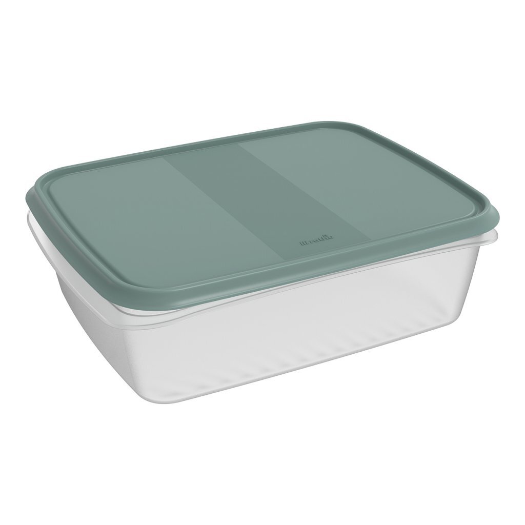 Úložný box do chladničky Rotho Elements 31x24x10 cm 5l, imelovo zelená/priehľadná